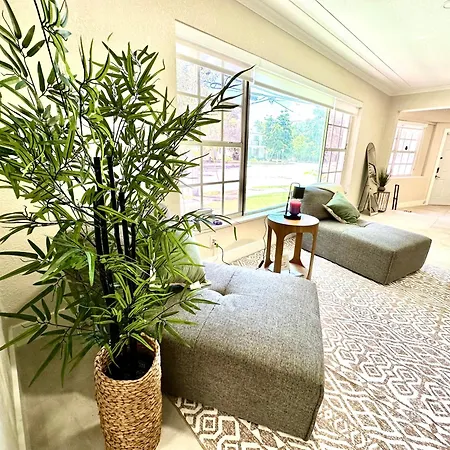 World Connect Miami Hostel